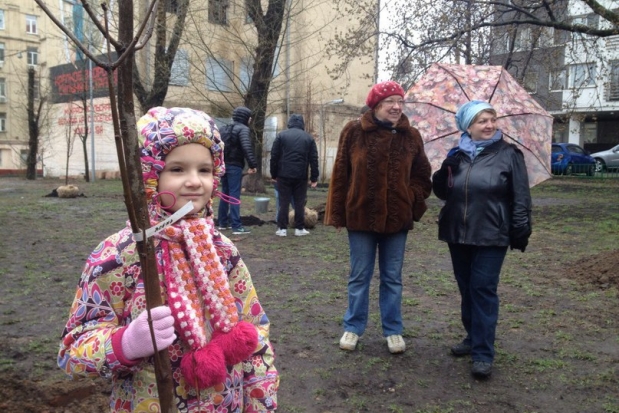Ассоциация выпускников и Команда Кузьминова посадила деревья в Красносельском районе